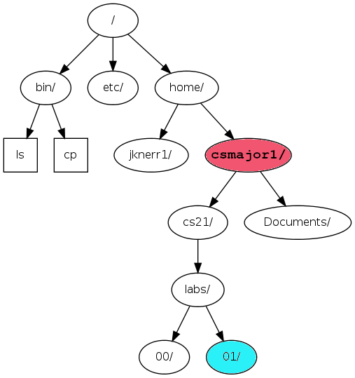 directories example