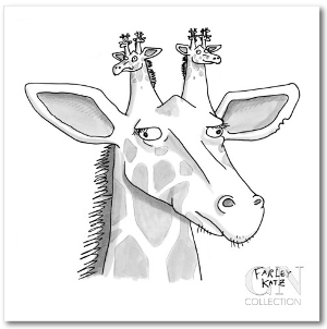 giraffe image