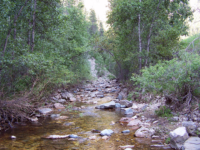 A picture of a stream in South Dakota.