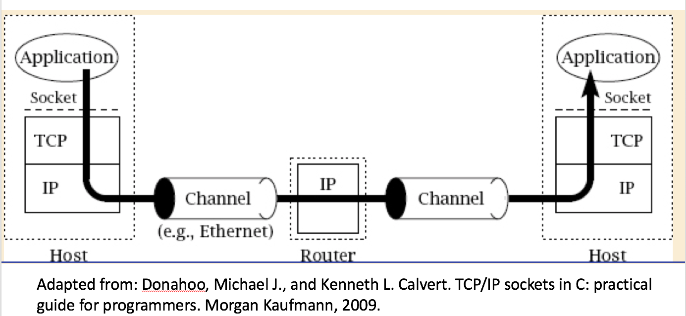 Socket Programming: the Socket interface sits between the Application layer and the transport layer. We associate the client and and server with a socket to communicate across the network. The routers in-between do not "speak" the transport layer or application layer protocols. This is analogous to not having the postal mail system look inside your mail package!