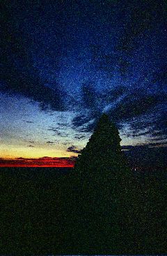 crop0022_1