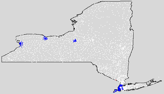 ny image