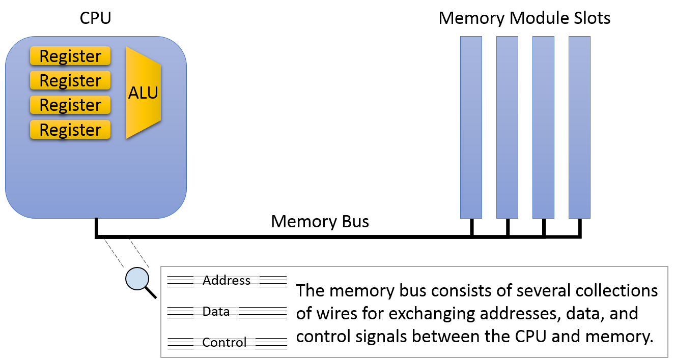 The registers and ALU are nearby one another on the CPU.  The CPU connects to main memory via a memory bus, which consists of several collections of wires for exchanging addresses, data, and control signals between the CPU and memory.