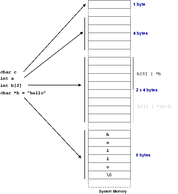 The processor sees memory only a row of bytes. Adding types to variables helps the compiler ensure that code is acting correctly. Above illustrates some common types, and how they map to memory.