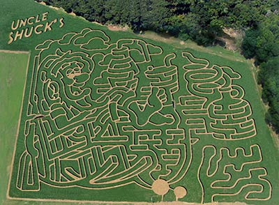 Aerial photograph of a corn maze