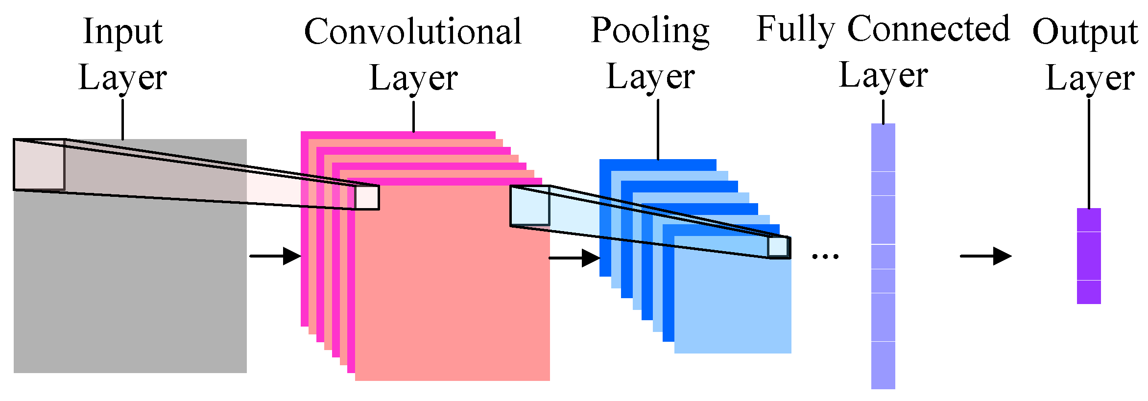 convolutional neural network