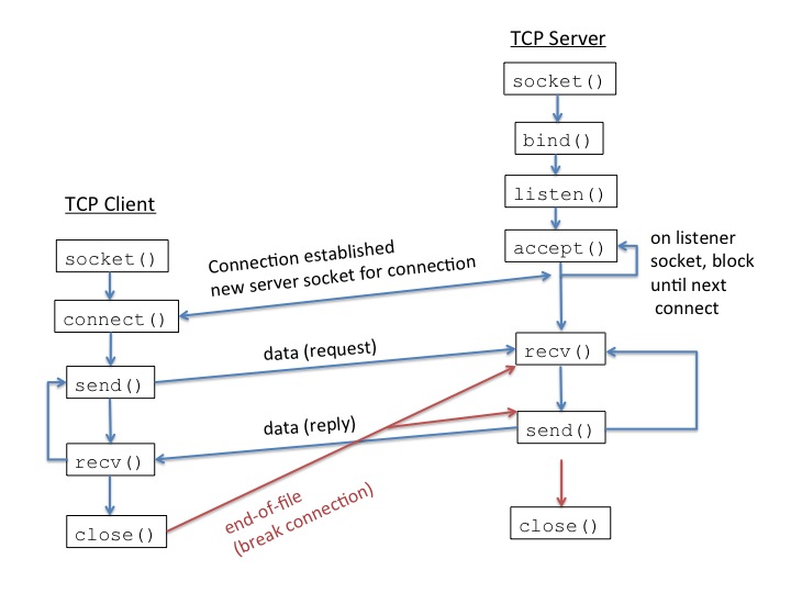 tcp protocol