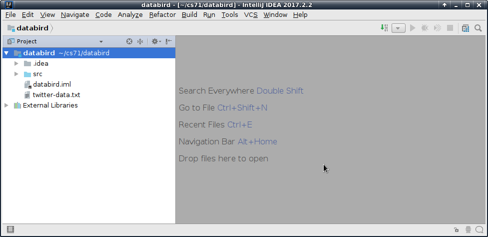 IntelliJ main window